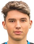 Roko Domjanic